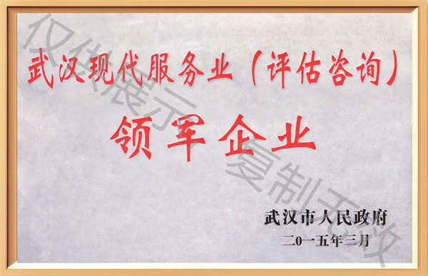 武汉现代服务业（评估咨询）领军企业