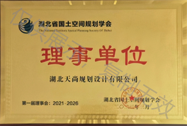 湖北天尚规划设计有限公司-湖北省国土空间协会理事单位